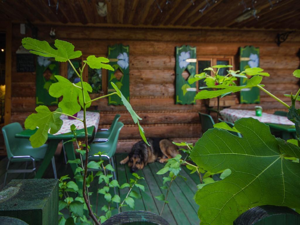 Willa Jagniatkow Bed & Breakfast Bagian luar foto